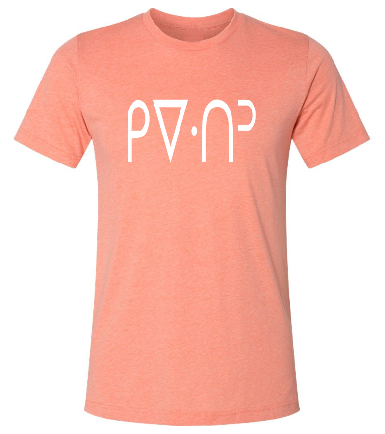 ᑭᐁᐧᑎᐣ / T-Shirt